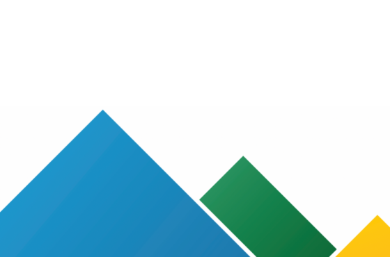 ADIA - Media Release: Office of AI must address challenges of community AI capability